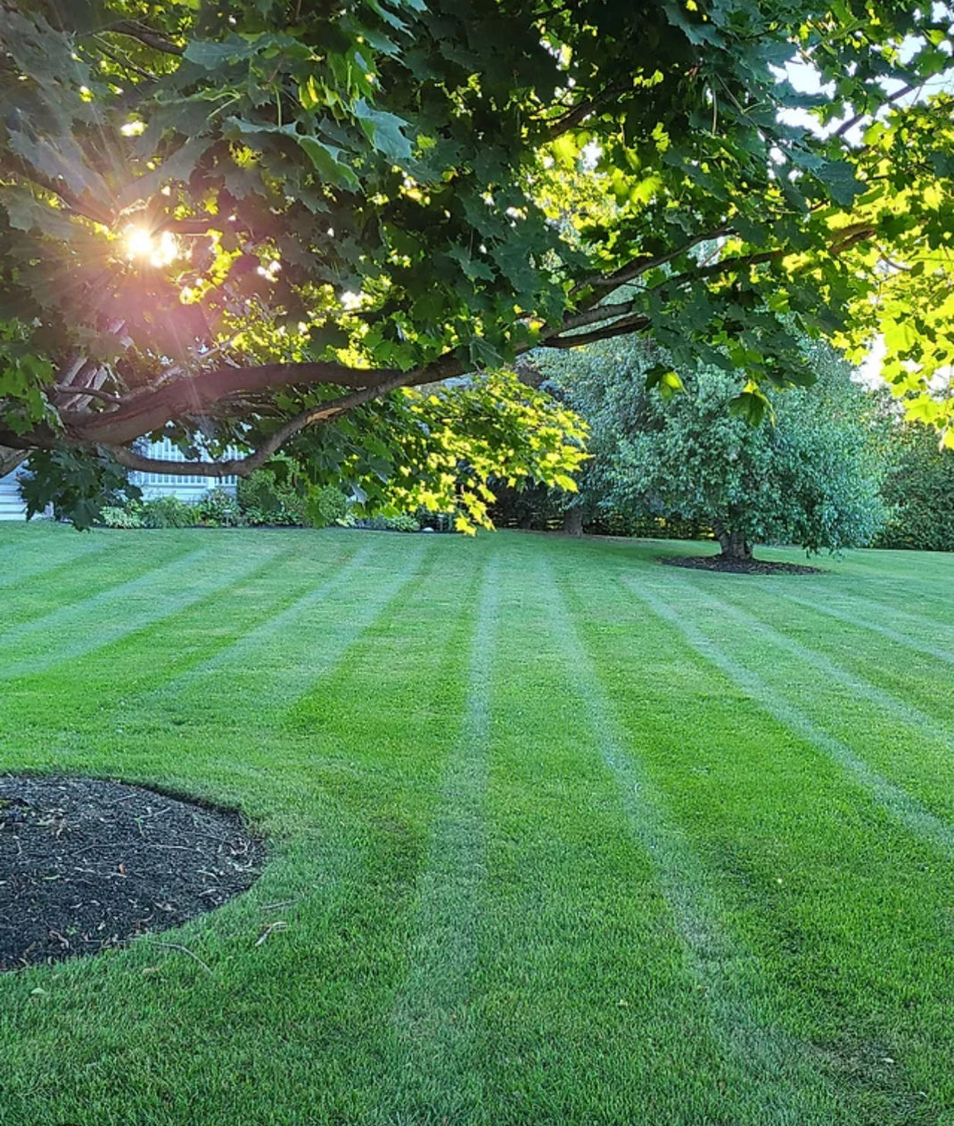 Green Things Garden, Gift & Maintenance Services