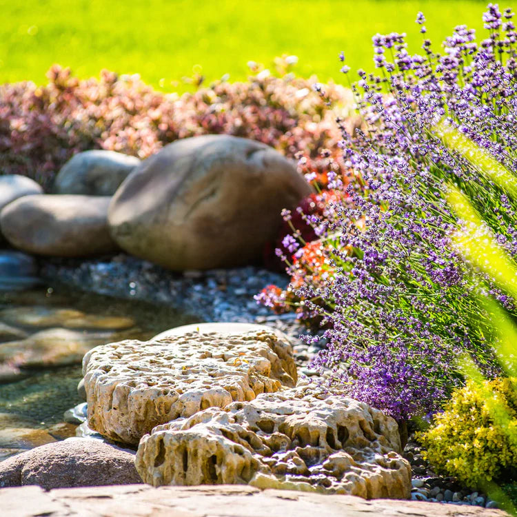 Landscape, Flower Bed & Backyard Design